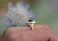 The Byzantine Ring | Tsavorite [OOAK]