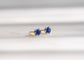 Twinkle Studs | Blue Sapphire