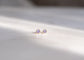 Twinkle Studs | Lavender Gray Spinel